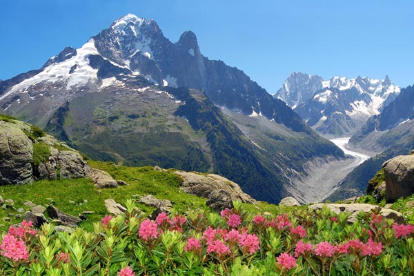 Location Chalet chamonix